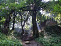 /album/fotogalereya/a0-55cd8-a15219cc-xl-jpg/